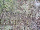 image of grave number 688906